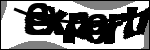 متن برای شناسایی